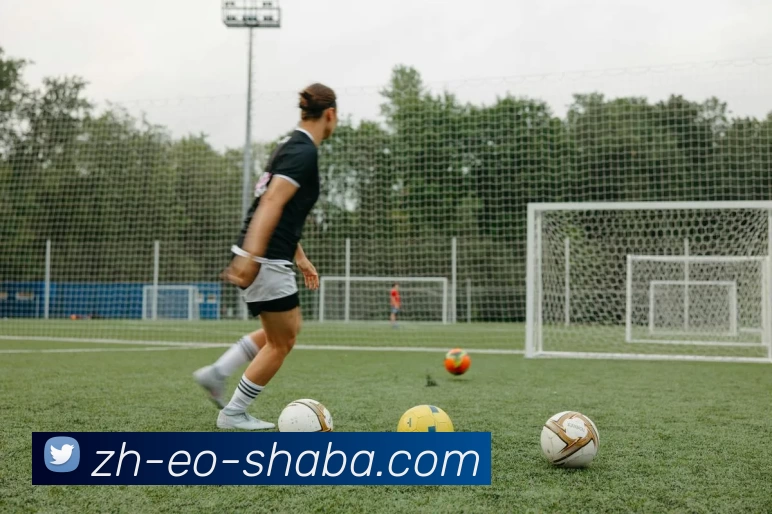 奖项证书